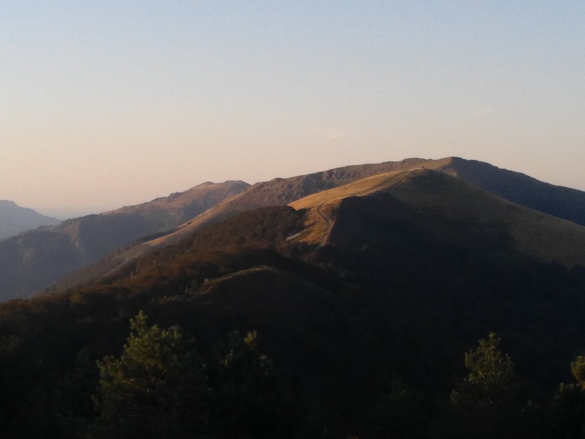 Contra pronóstico hoy en Lindus viento sur.  A disfrutar nuevamente de observaciones cercanas! #migration #photography #birding #birdwatching #nature #pirineo
#ecoturismo <a href="/auritz_burguete/">𝕽𝔦𝔫𝔠𝔬𝔫𝔢𝔰 𝔡𝔢𝔩 𝔓𝔦𝔯𝔦𝔫𝔢𝔬</a> <a href="/LPOAk/">LPO Aquitaine</a> <a href="/Navarrainforma/">Navarra Información</a> @TurismoNavarra <a href="/Mendixut/">Mendixut</a> @GanNavarra <a href="/BatumiRaptors/">Batumi Raptor Count</a> <a href="/Hawk_Mountain/">Hawk Mountain</a>