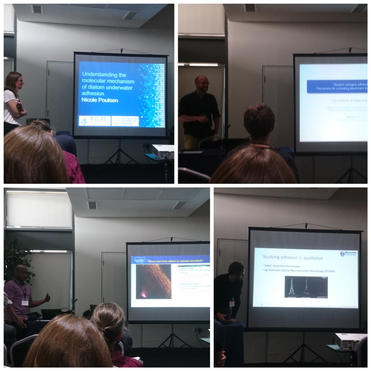 ENBA bioadhesion (@enbabioadhesion) on Twitter photo Great talks on #bioadhesion at #adhesion19 by <a href="/iom3/">The Institute of Materials, Minerals & Mining</a> Great talks on #bioadhesion at #adhesion19 by <a href="/iom3/">The Institute of Materials, Minerals & Mining</a>