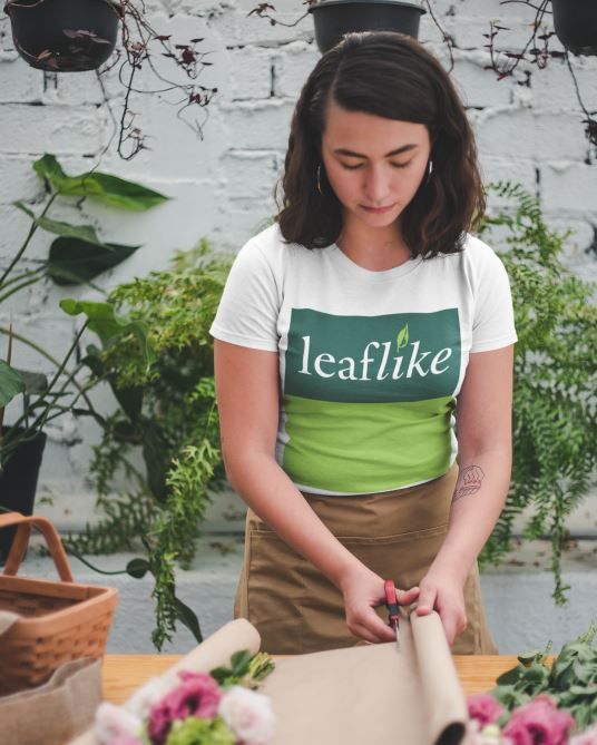 Leaflike tweet media