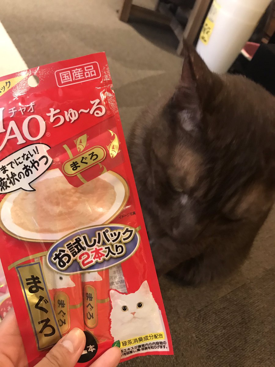 Straycatcafe Twitter Search