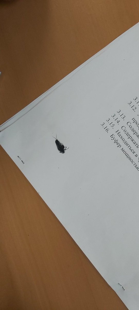 UyusDikiy's tweet photo. Кааааак можно было таракана скопировали чисто рыбдальвтуз 😂😂😂😂😂 https://t.co/gr4V6chQ5V