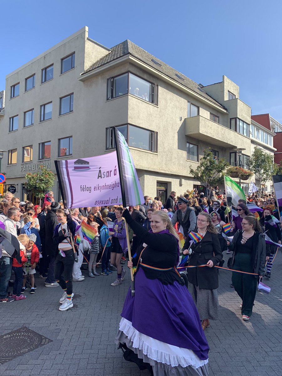 haframjolk's tweet photo. Wearing my special Pride socks today in honor of @VP's visit to Iceland. Fun fact, these are the socks I wore during the Reykjavik Pride parade, which around 100.000 people (about 30% of the population) came to watch! 🏳️‍🌈🏳️‍🌈🏳️‍🌈 #blessPence https://t.co/fT5Bw6O0is