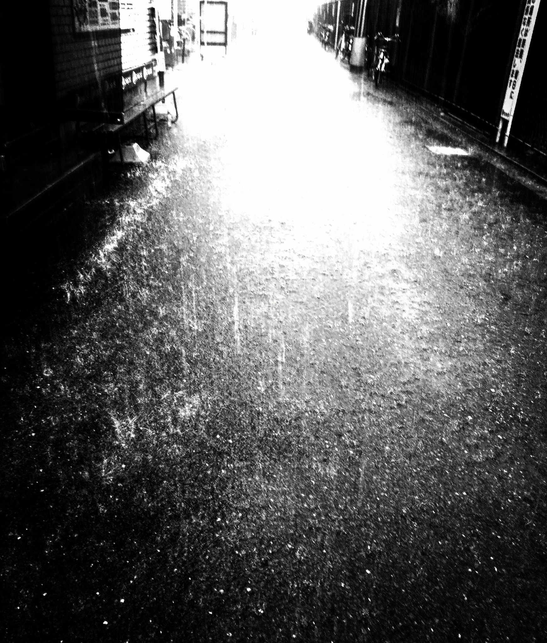 ヒデ 激しい雨が Shv40 スマホ 雨の降る日 雨 Rain Streetphoto Bw Streetphotography モノクロ写真 モノクロ Monochromephotography Monochrome 白黒写真 白黒 スマホ Shv40 スマホ写真 T Co Yl4scgqadf Twitter ヒデ 激しい雨が Shv40 スマホ 雨の降る日 雨 Rain Streetphoto Bw Streetphotography モノクロ写真 モノクロ Monochromephotography Monochrome 白黒写真 白黒 スマホ Shv40 スマホ写真 T Co Yl4scgqadf Twitter