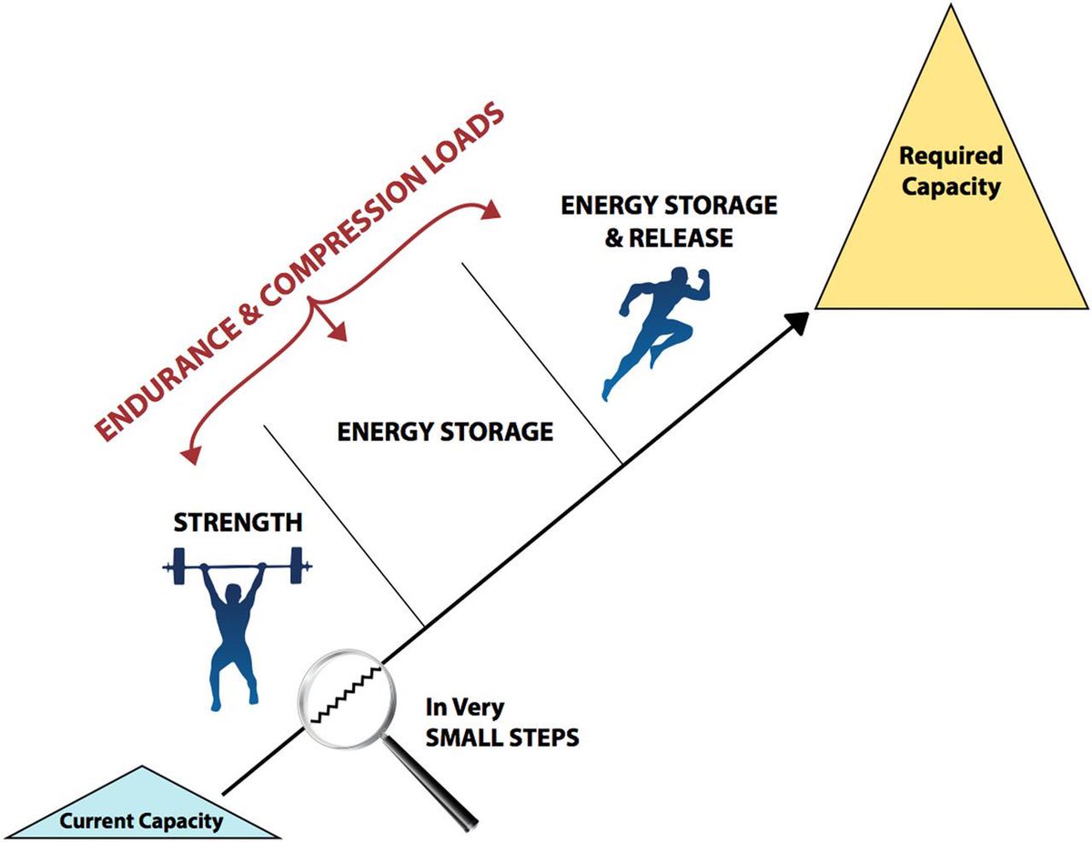 xschelling's tweet photo. @physioworkshsv @ProfJillCook @DrPeteMalliaras @fisioterapianet “Defining ‘tissue #capacity’: a core concept for clinicians” (Cook & Docking 2015).
#Strength/force is everywhere. Whoever #maximizes it more efficiently according to their specific #context (daily activity, sport requirements) is the one who will succeed. https://t.co/Yq409p9or5