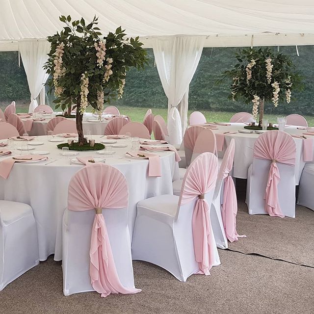 Lovely pale pink wedding with our new pale pink wisteria trees #wisteriatree #pinkwisteriatree #wisteriatreecentrepiece #blushwedding #pinkwedding #babypinkwedding #marqueewedding with #ukmarqueehire @ukmarqueehire #weddinghire #weddinghireherts #weddingdecor #weddingdecorat…