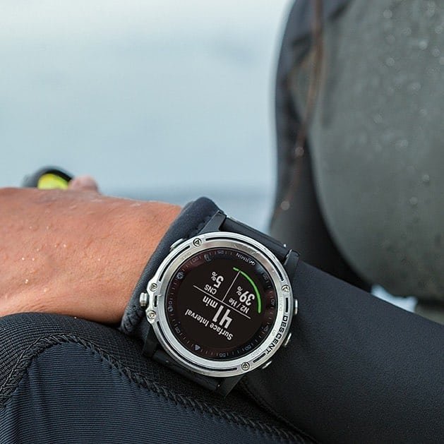 garmin descent mk1 silver