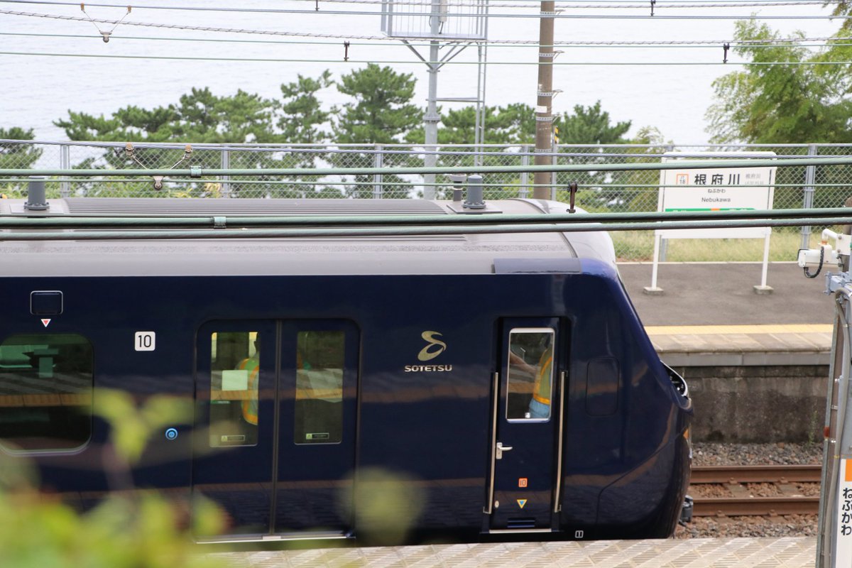 「ホームで「なんで根府川に相鉄線の電車がいるんですか?!」って聞かれたけどそりゃこ」|あさかみやびのイラスト