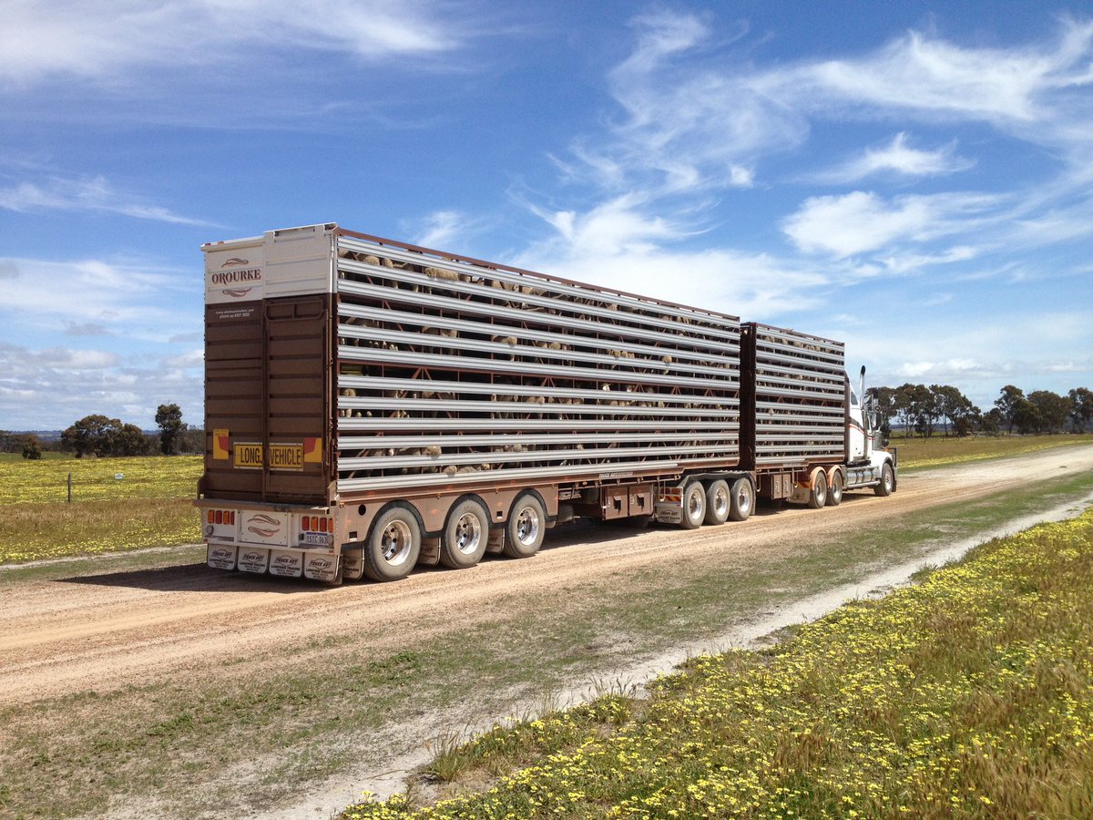 Mathew O'Rourke tweet media