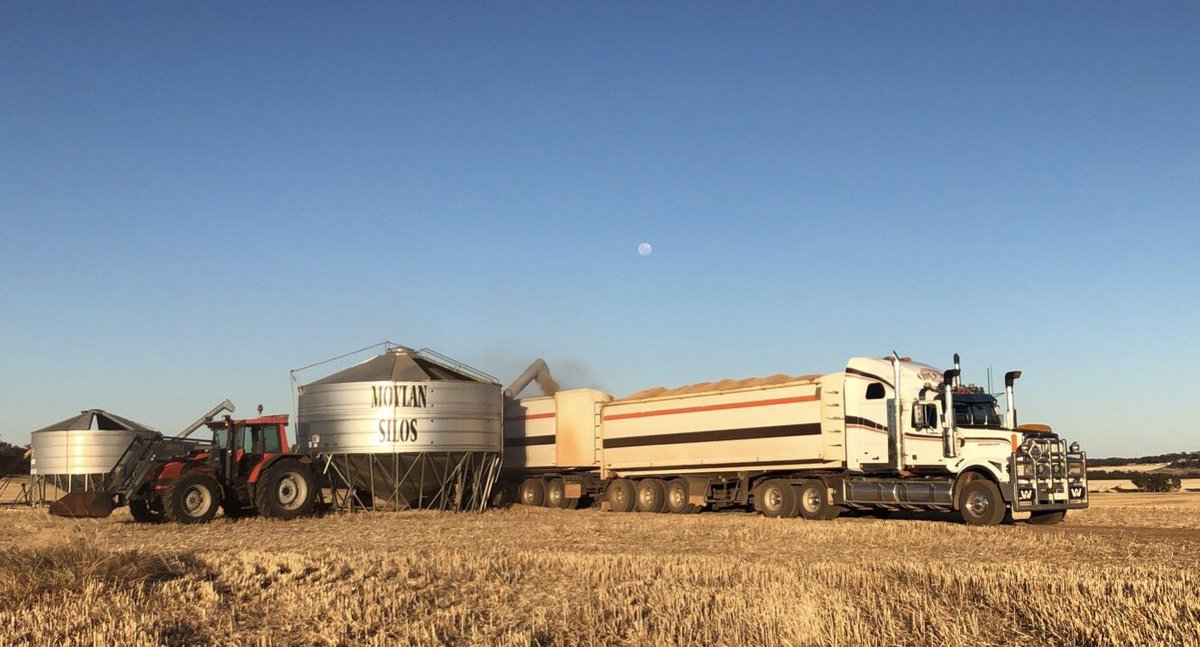 Mathew O'Rourke tweet media