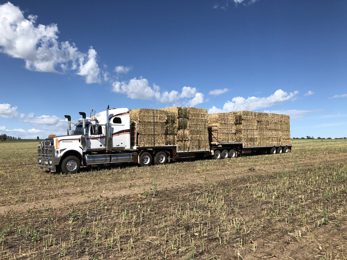 Mathew O'Rourke tweet media