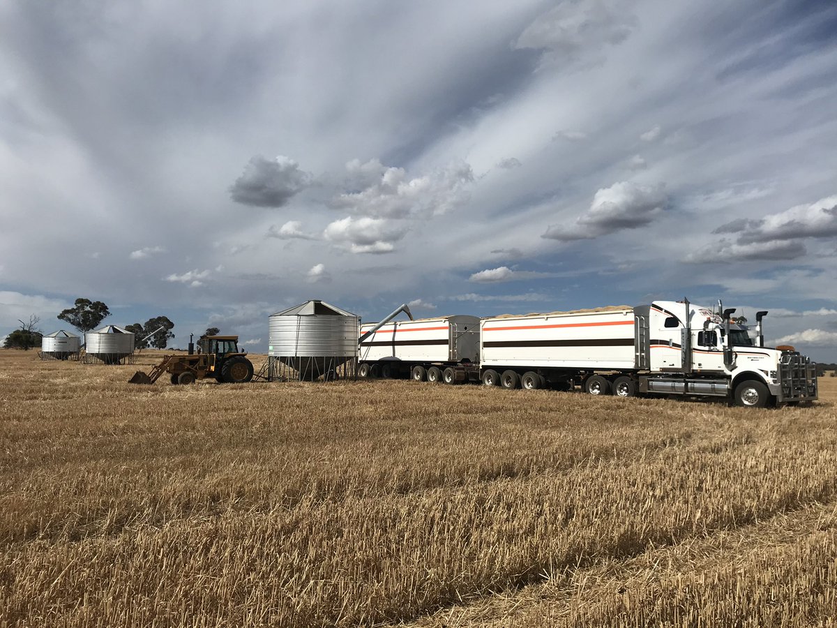 Mathew O'Rourke tweet media