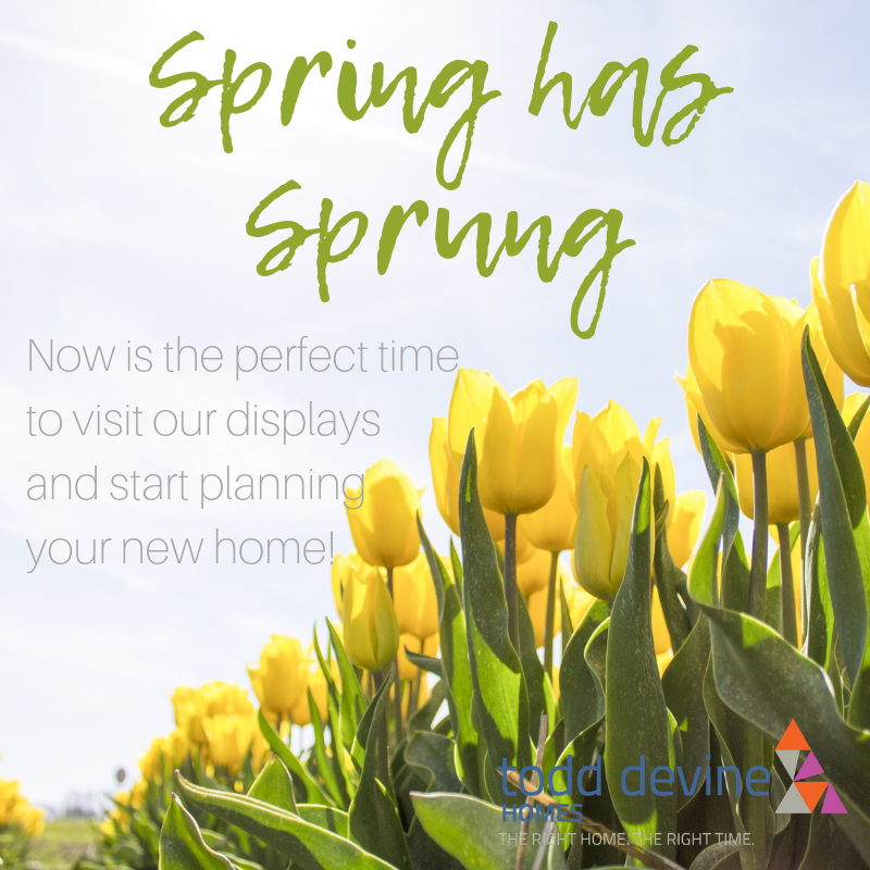 ToddDevineHomes's tweet photo. Visit our displays - 

Monday - Saturday

10 am - 4 pm https://t.co/LseD4idmlO