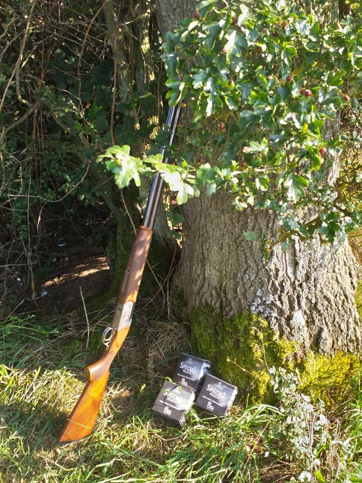 Tobyshoot's tweet photo. I wanted to test the "Long Range Performance" of the Hull Special Pigeon. I shot some flighting at a seriously good height and was extremely impressed.
@HullCartridge  @ @swiftvalleysporting https://t.co/VcQRnhrKJr