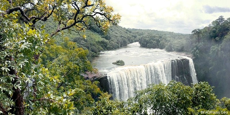 RT <a href="/FAOForestry/">FAO Forestry</a>: "#Forests provide clean air &amp; water; they are an incredible source of #biodiversity &amp; play a key role in mitigation of &amp; adaptation to #climatechange" 
<a href="/FAO/">Food and Agriculture Organization</a>'s Mette Wilkie 31st session of the Latin American &amp; Caribbean #Forestry Commission tiny.cc/jve3bz