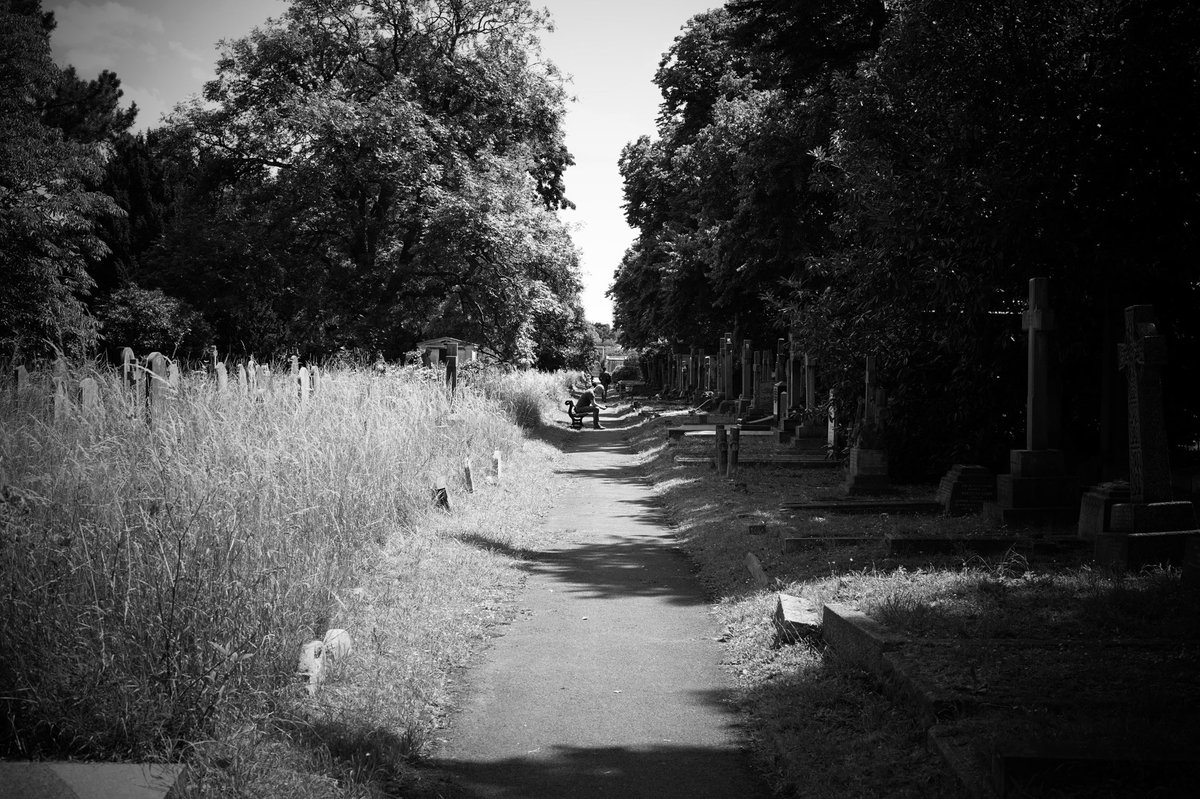 byroberteklund's tweet photo. #walkbyshooting #walkbyshootings #photography #SonyA7III #greatbritain #uk #unitedkingdom #england #london #cemetery #graveyard #graveyardphotography #cemeteryphotography #headstone #headstones #tombstone #tombstones #nature #bw #blackandwhite #bnw #bnwphotography #nofilter https://t.co/iixq52Z8Jq