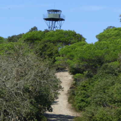 Avui pugem al turó de l'Avellana a Piera des d'on gaudirem d'una bona panoràmica de la muntanya de Montserrat. Si també ho voleu veure, aquí teniu la ruta 👉  bit.ly/2NhpCIS