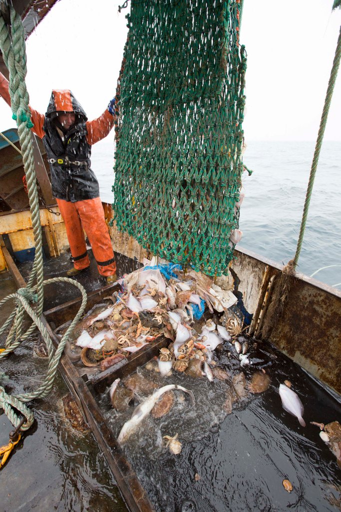 SeahorseDevon's tweet photo. Trawlerman Nick hard at work catching todays lunch.
#trawlermannick #nomore #brixhamtrawler
#theseahorse #seahorsedartmouth #theseahorserestaurant #dartmouth #devon #devonlife #seafood #seafoodrestaurant #seafoodrestaurantsuk #devonrestaurant
#englandsseafoodcoast #mitchtonks https://t.co/zKvdO42h5q