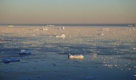ECOLOGIANATURA's tweet photo. ATTENZIONE, lo scioglimento dei ghiacciai sta aiutando a catturare il carbonio?
Un caos completo è sceso sull'Artico, una regione che ora si sta riscaldando due volte più velocemente del resto del pianeta. https://t.co/SQmJcl9B37 #ClimateEmergency #emergenzaclimatica https://t.co/OOgMeTojTP