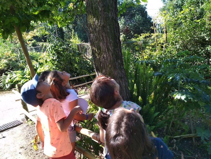 Octava semana en el campamento de <a href="/SalesXardin/">Fundación Sales Vigo</a> . ¡Risas, naturaleza, diversión, aprendizaje y respeto al medio!
bit.ly/2k1QRes