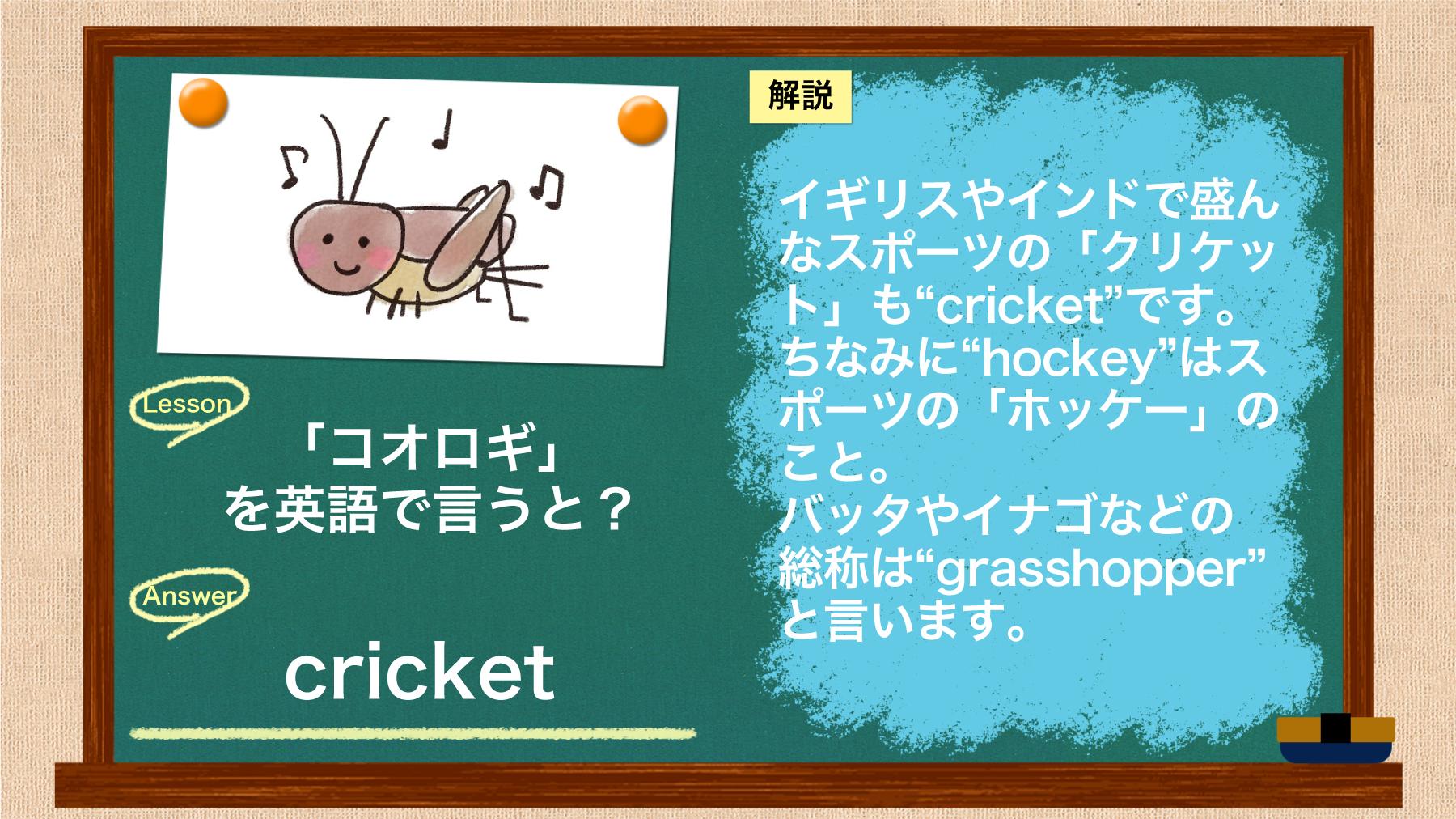 Toeic 英語クイズ 秋の昆虫の代名詞 コオロギ を英語で言うと 答えは Cricket です 解説は画像をチェック Toeic T Co Rmvaplvwfj Twitter