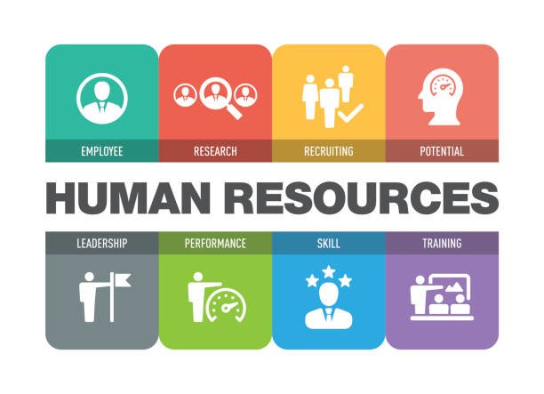 HrCallisto's tweet photo. Probably, you are wondering what Interim HR Consulting is. Well, interim human resource consulting refers to a non-permanent provision of the human resource management facilities and the skills to an organization.

Learn More @ https://t.co/SghqETmeIQ

#Leadership #Job #hrmanager https://t.co/4ekRjxZFic