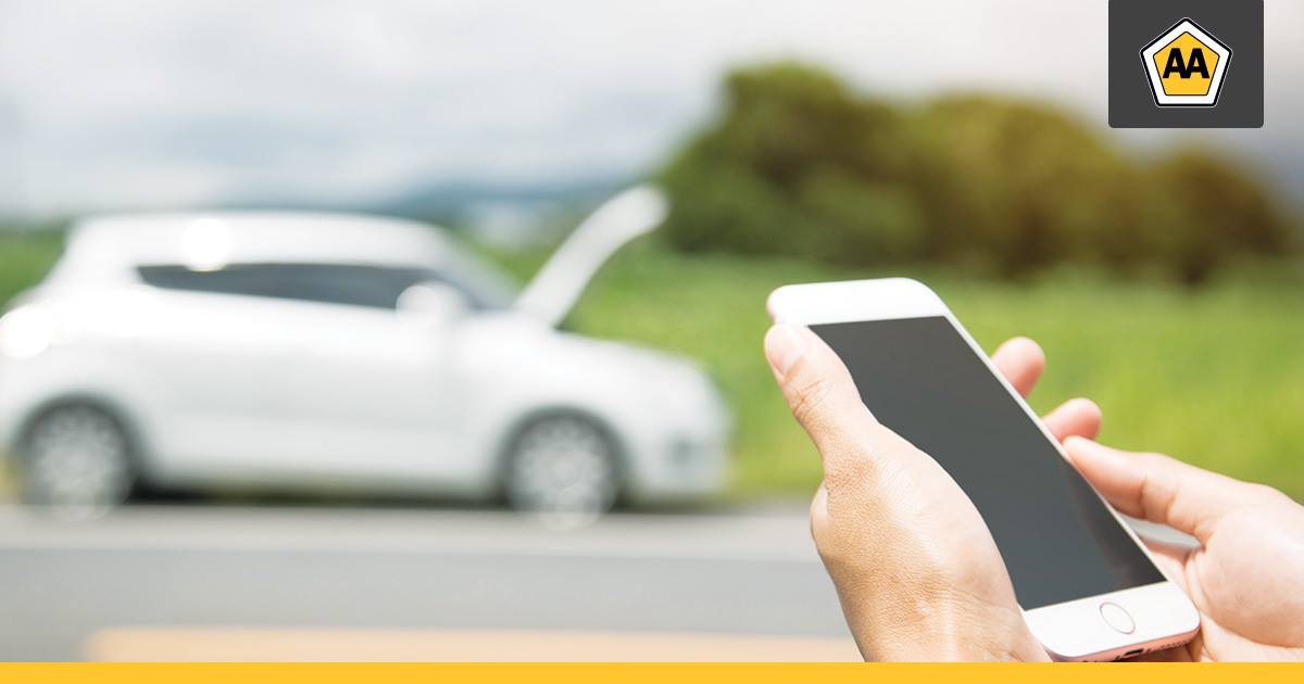 download Эктоны. 1994