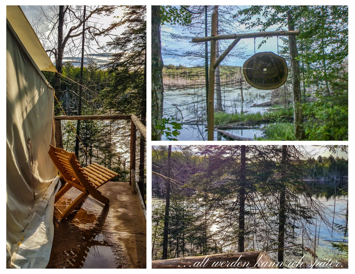 Regula_Blog's tweet image. Der Blogbeitrag zu der Reise zu den First Nations in Ostkanada ist erschienen. altwerden-spaeter.blog…/first-nations-in-ostka…/ Viel Spass beim Lesen und Danke fürs Weiterleiten