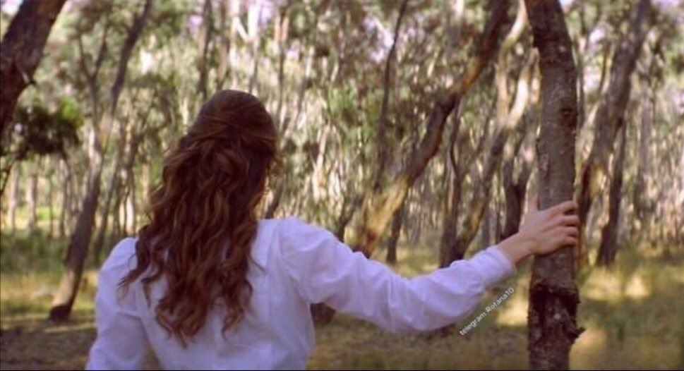 لك فصدري مملكة حب وغرام عاصمتها شووق وساحلها الهيام ❤️❤️🌹