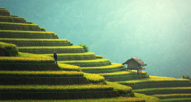 PreTravels's tweet photo. Travel Thailand to explore fascinating mix of historic past, as well as promising future!
#thailand #traveling #traveltips
#travel #chaingmai #kohtao https://t.co/DNaV0a0Il1 https://t.co/jQdc4zw9Ip