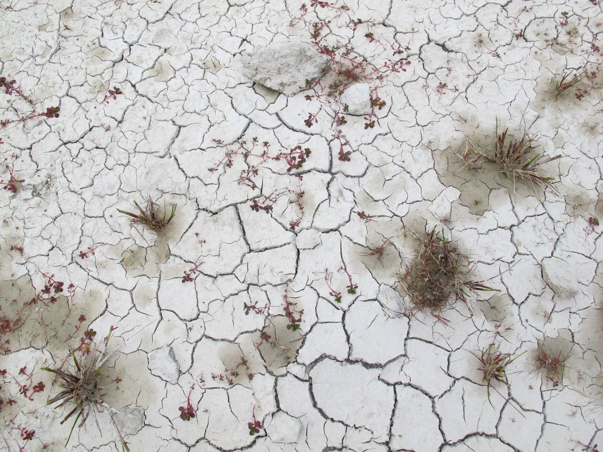 The shortlist for Whitegold International Prize has been announced! Find out who they are whitegold.org.uk/shortlist-2019/ We’ll be featuring them here &amp; they’ll be presenting in person at Whitegold Fest, 21st Sept. Come along to find out how their work connects people, material &amp; place.