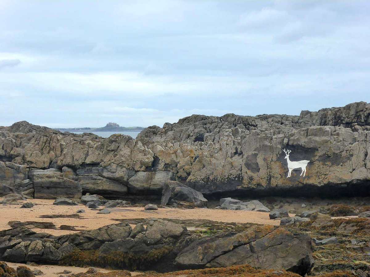 _kirstyhartley's tweet photo. Exploring the Northumbrian coast #Northumberland #beachlife https://t.co/g23hNjw4u1