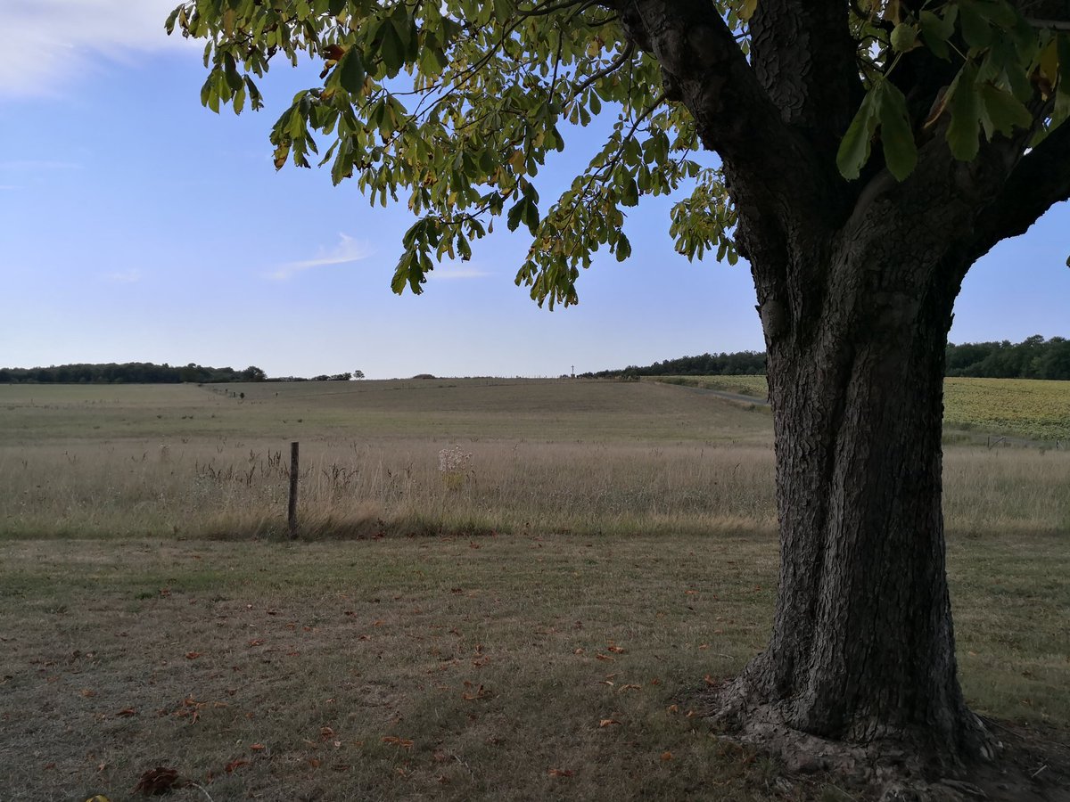 PJ_SENEQUE's tweet photo. Pause estivale au Prieuré de #SaintGeorgesDesSeptVoies #GennesValDeLoire #BrissacLoireAubance #anjou #maineetloire #france #igersanjou #jaimelanjou #MagnifiqueFrance #prieure #immobilier #Sénèque #LesPontsDeCe https://t.co/pChNpE7oo4