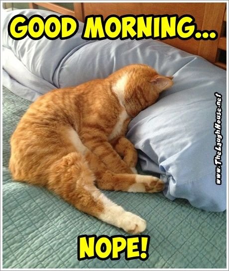 Mornin! - Evenin! - Gnight!