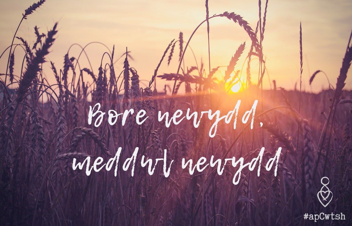 Mae’n fore newydd, dechreuwch y diwrnod ag agwedd bosotif!  Lawrlwythwch ApCwtsh sy’n eich helpu chi i ddod i adnabod eich hun 💜🧘🏼‍♂️🏴󠁧󠁢󠁷󠁬󠁳󠁿 <a href="/menterabertawe/">Menter Iaith Abertawe</a> <a href="/mentrauiaith/">Mentrau Iaith</a>