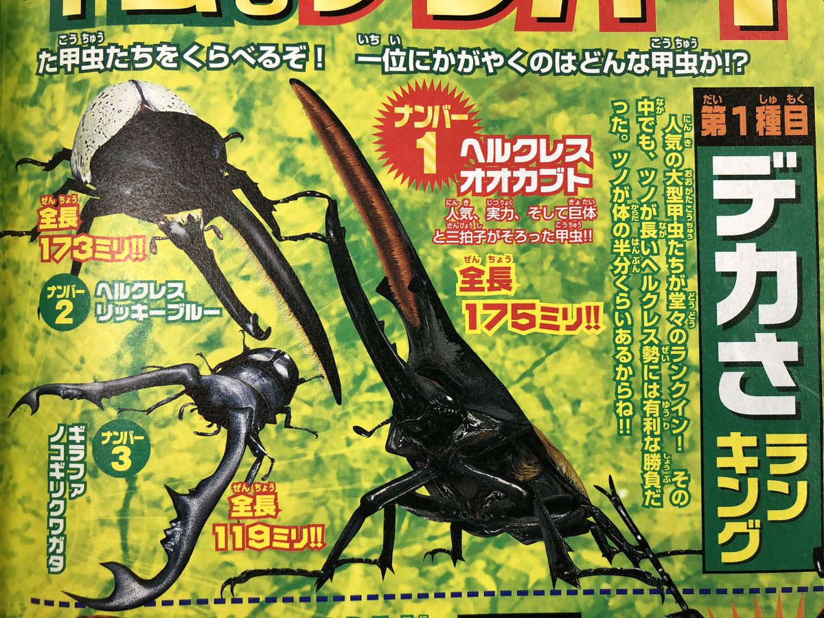 ムシキング 2006夏ネイチャー フルコンプリート ヘルクレス ムシキング 2006夏ネイチャー フルコンプリート ヘルクレス