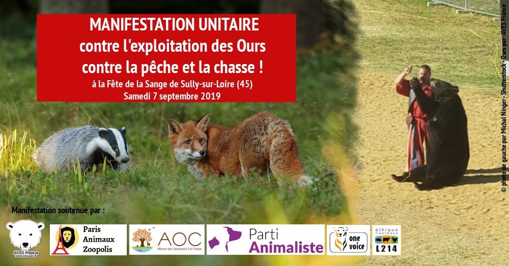 A l'appel d'@aves_france, soyons nombreux à protester contre la "Fête de la Sange" à Sully sur Loire. Cet événement d'un temps que l'on espérerait révolu fait la promotion de la #ChasseACourre, du déterrage, propose un spectacle avec montreur d'ours... #LaChasseUnProblèmeMortel