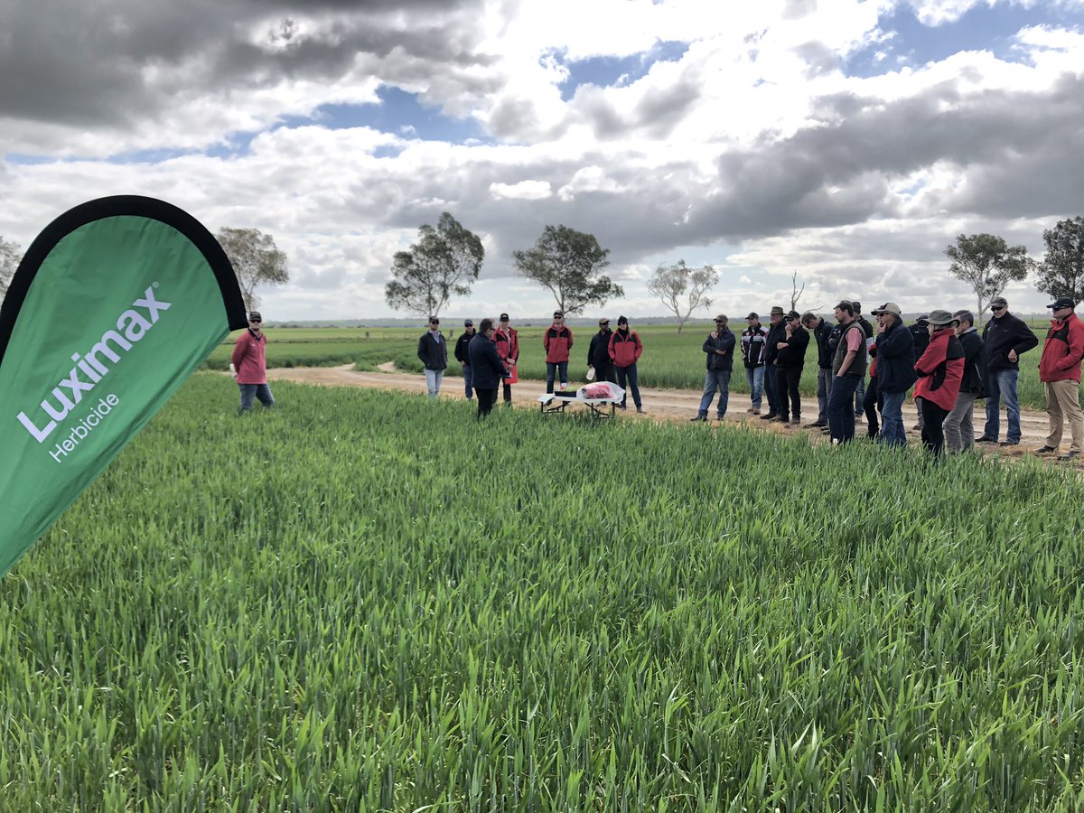 joel_lancaster's tweet photo. Going through the Elders WA tech site looking at the new technology on offer! #luximax #frequency #voraxor @BASF_Agro_Au cracking site @ZacRRick @1_BillMoore https://t.co/FytWUUO2UI