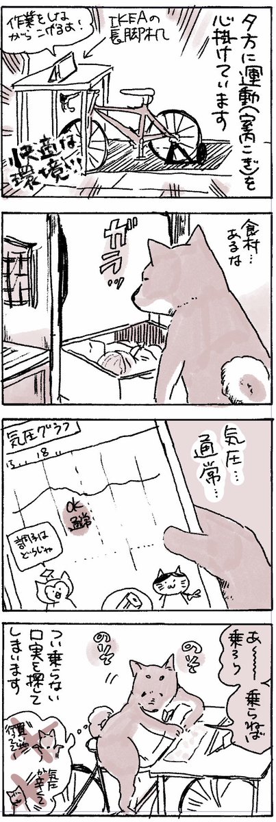 根っこにある運動嫌いが邪魔をする
#まるしば記 