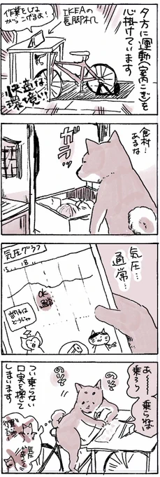 根っこにある運動嫌いが邪魔をする
#まるしば記 
