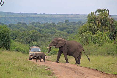HuntSafaris's tweet photo. #RealityIntoTheWildernessExpereince
https://t.co/6c8br1uPrW https://t.co/i9ufUU0KU9