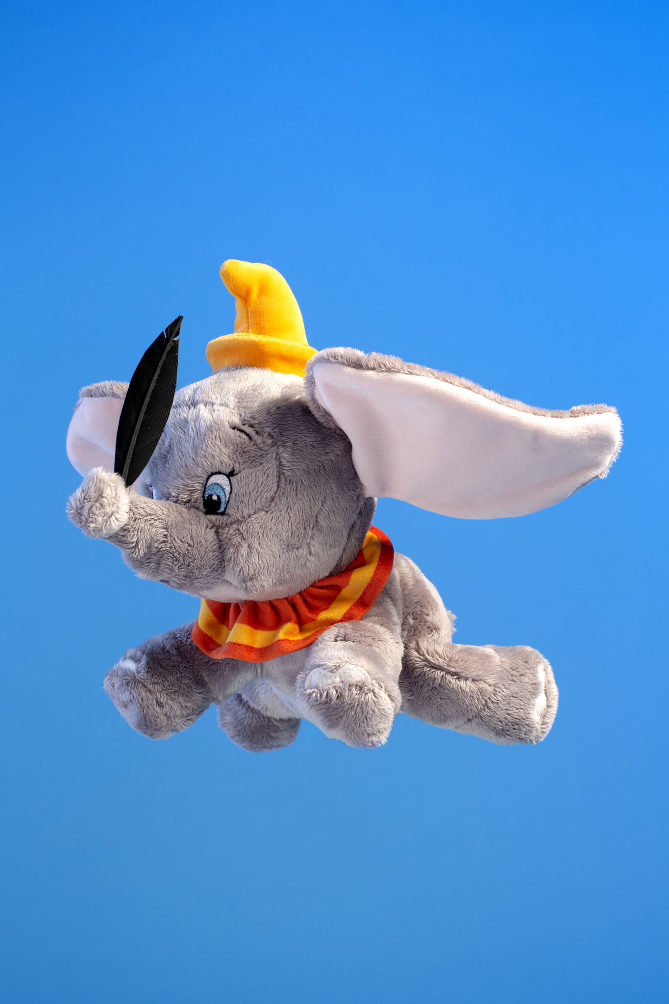 posh paws dumbo