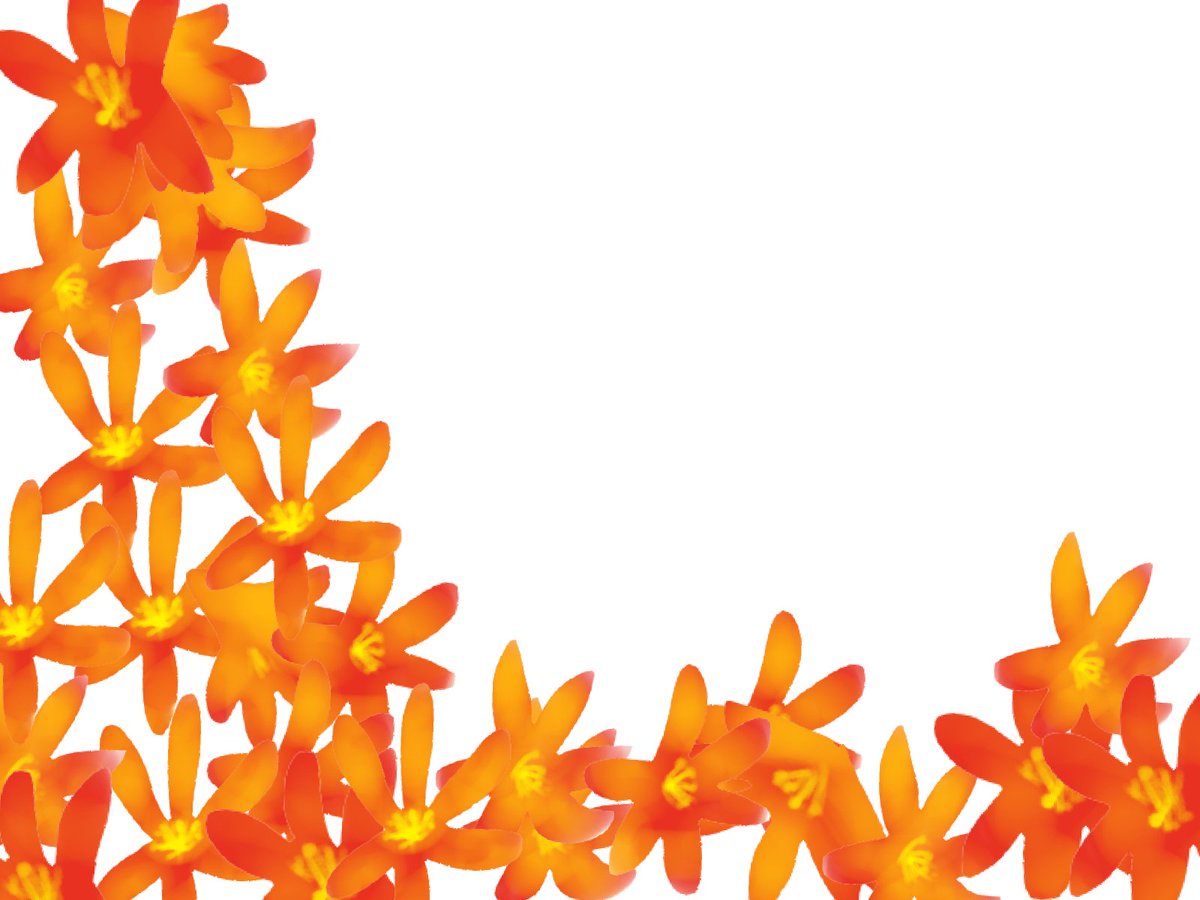 愛ちん ゆめみ愛 Twitter પર イラストacさん投稿の９月４日の誕生花 モントブレチア です 無料なので良かったらどうぞです T Co R4jmmpczvd 学名はクロコスミア サフランの香りという意味で 乾燥させてお風呂に入れると サフランのようなとても いい匂い