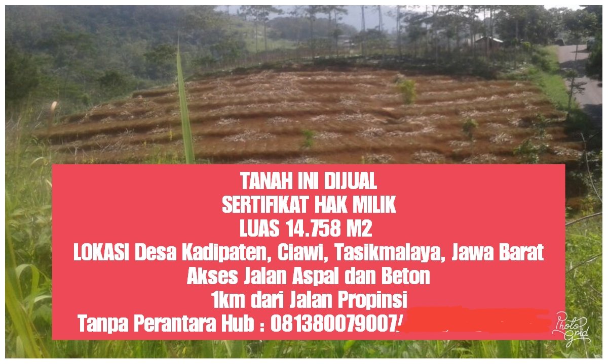 SONNYRESCUE's tweet photo. DIJUAL TANAH SHM...MINAT WA ATAU TLP KE HP DIBAWAH... https://t.co/p5sbObDL9V