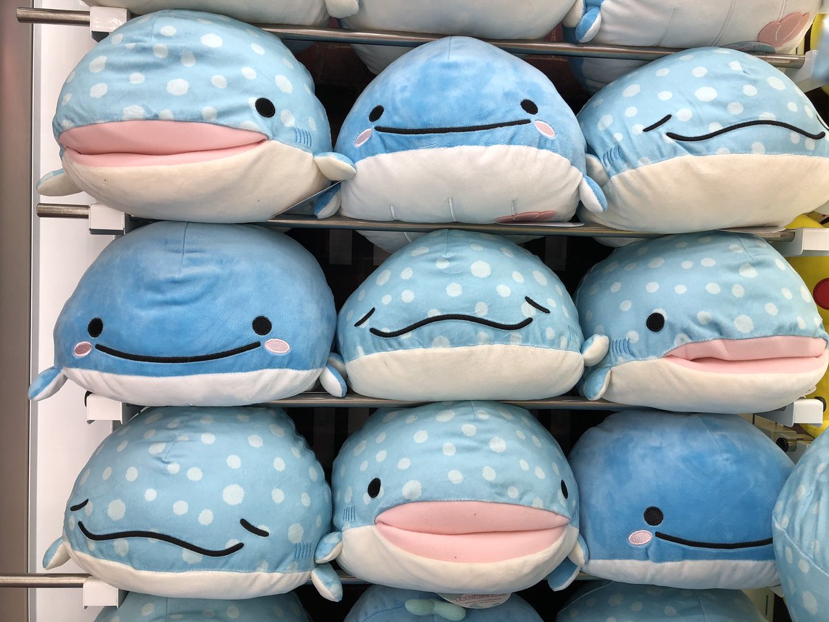 タイトーステーション小田原シティーモール プライズ 新景品 じんべえさんとまいごのこくじら まあるいぬいぐるみ Big 入荷致しました 全3種で 口が開いてるのもございます まるくてかわいいぬいぐるみとなっております ぜひ獲得されては