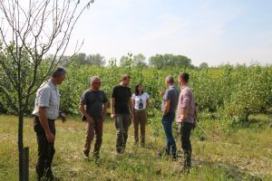 Interreg REFOCuS – Plus trees in Austria are chosen sumins.hr/interreg-refoc…