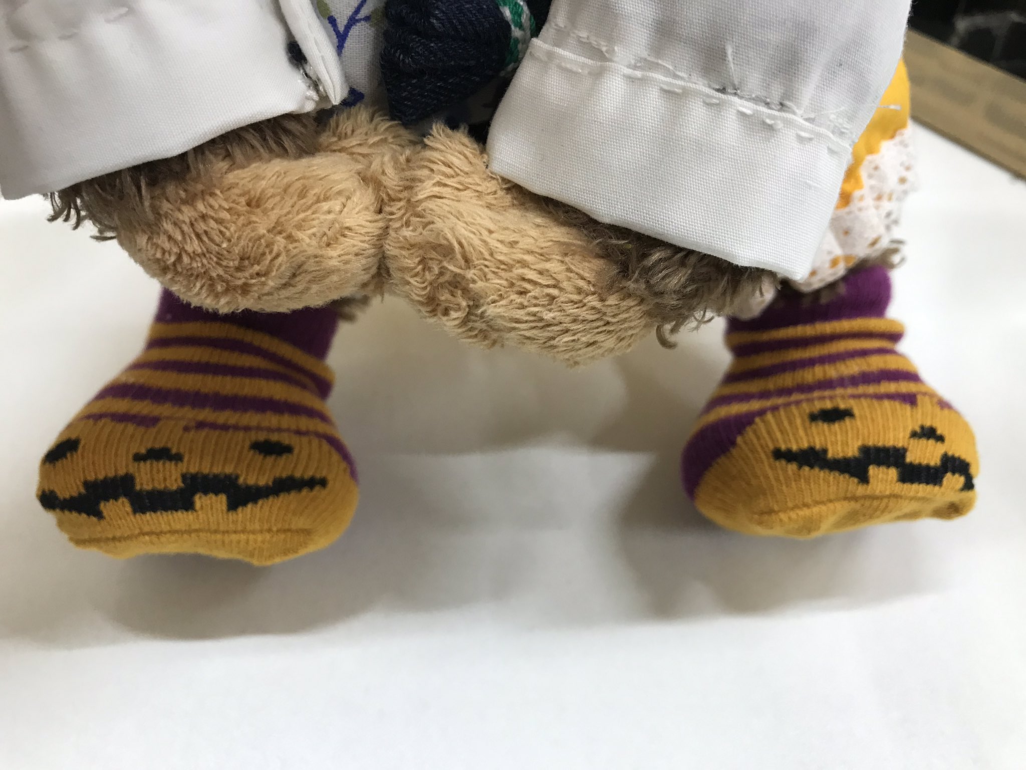 水月 セリアの小型犬用靴下 ちょっと狭いかもですがプリキャちゃんにぴったりでした めっちゃ可愛い プリンスキャット セリア