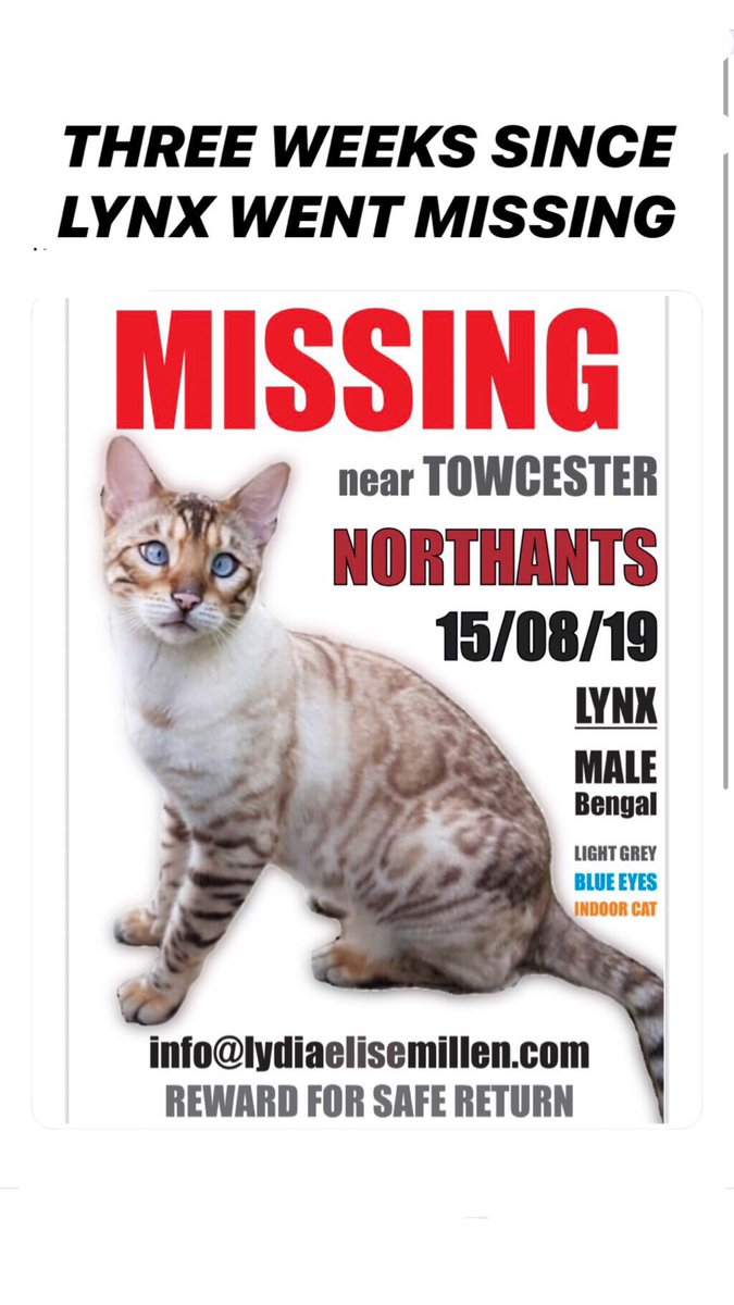 LydiaEmillen's tweet photo. THREE WEEKS SINCE LYNX WENT MISSING https://t.co/p9J8Zhcgd2