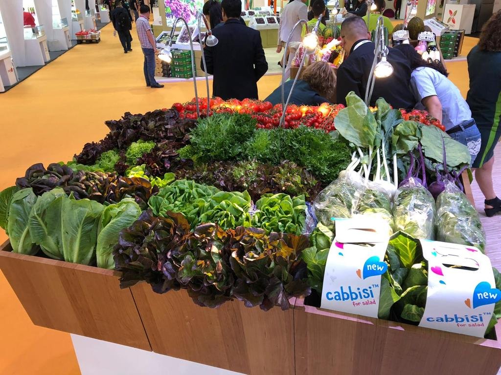 RijkZwaan's tweet photo. Great first day at Asia Fruit Logistica in Hong Kong @ASIA_FRUIT Have you met our team yet? We’re looking forward to see you in hall 5, stand T08 to meet us and enjoy our products! https://t.co/68AoSTByh8