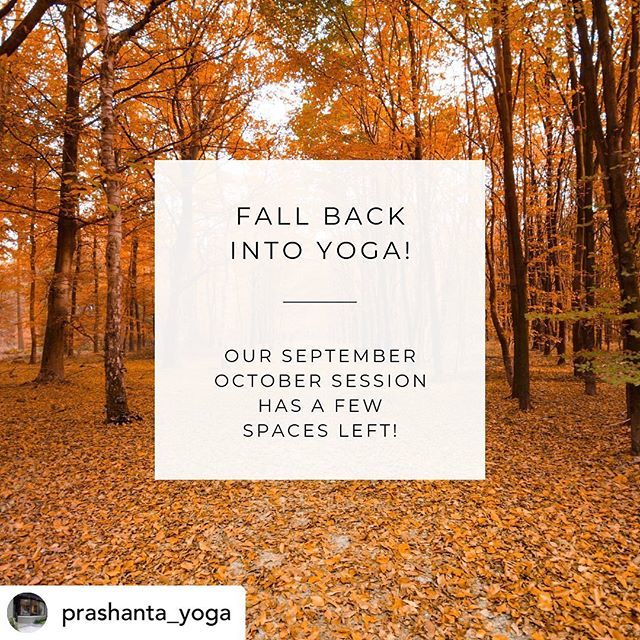 #repost• @prashanta_yoga 🍁FALL YOGA⁣
⁣
Back to School ✏️- Back to 🧘‍♀️!⁣
⁣
Our Fall session begins this week.  We have a few spaces available in our Yoga, Pilates and Prenatal classes. ⁣
⁣
⌨️Registration required - email or DM to book - schedule … ift.tt/2MU0loL