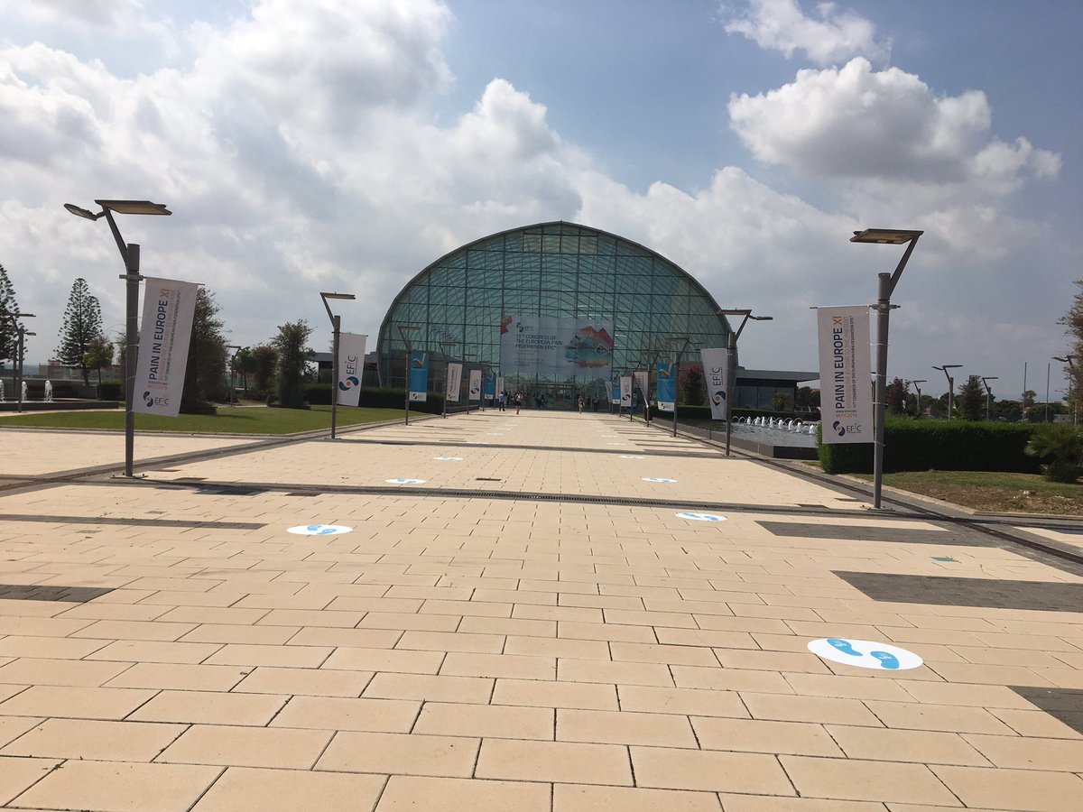 SIP Pain in Europe: overal wordt gewerkt aan speerpunten op gebied van oa educatie, zelfmanagement en kwetsbare groepen. Pijnconsulenten leveren hier een grote bijdrage aan, nu nog integreren in beleid en zorgverzekering! <a href="/EFIC_org/">European Pain Federation EFIC®</a> <a href="/VenVNPIJN/">V&VN Pijn</a> <a href="/HANVDO/">HANVDO</a>